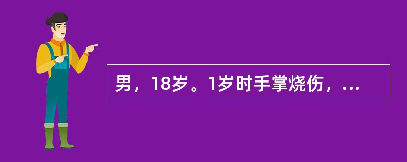 男，18岁。1岁时手掌烧伤，现瘢痕挛缩畸形呈团状手，治疗方案为（）