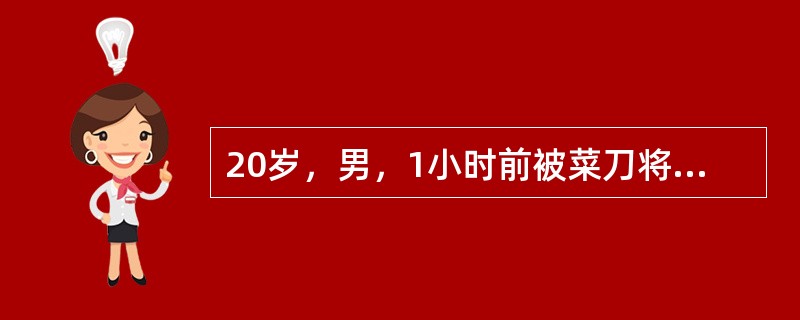 20岁，男，1小时前被菜刀将食指末节掌侧方切去一块皮肤，约1cm×0.5cm，皮