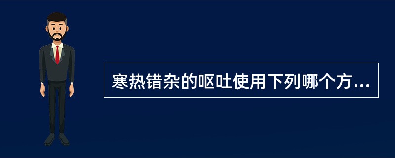 寒热错杂的呕吐使用下列哪个方剂进行治疗（）