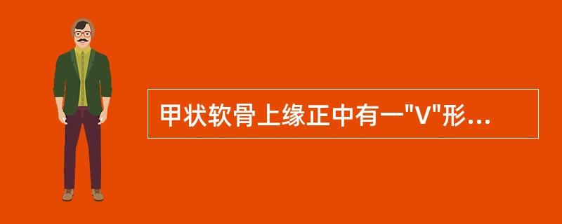 甲状软骨上缘正中有一"V"形凹陷，称为（）。