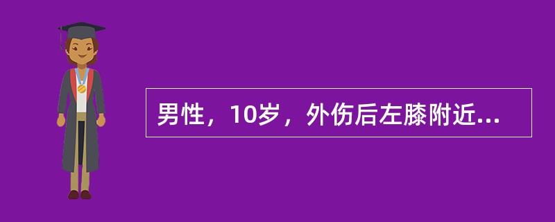 男性，10岁，外伤后左膝附近肿胀，剧痛，体温达39～40℃，经大剂量抗生素应用3