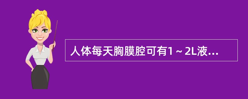 人体每天胸膜腔可有1～2L液体通过，胸液中的蛋白质主要经由淋巴管进入胸导管。