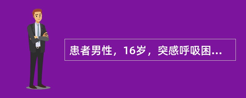 患者男性，16岁，突感呼吸困难，大汗淋漓，胸片检查见图，最合理的诊断是()