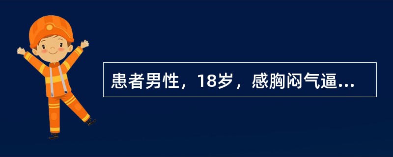 患者男性，18岁，感胸闷气逼，胸片检查如图，最合理的诊断是()