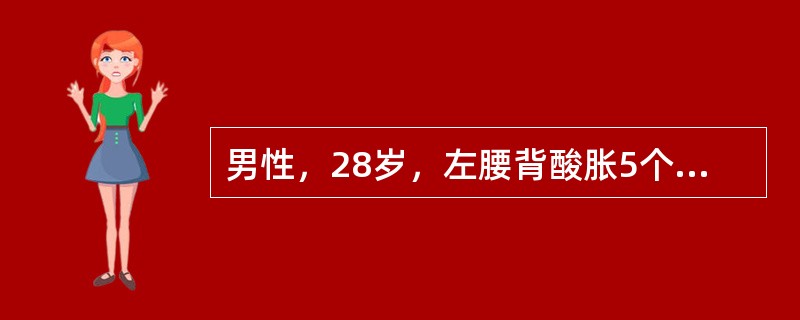 男性，28岁，左腰背酸胀5个月，CT检查如图所示，应诊断为()