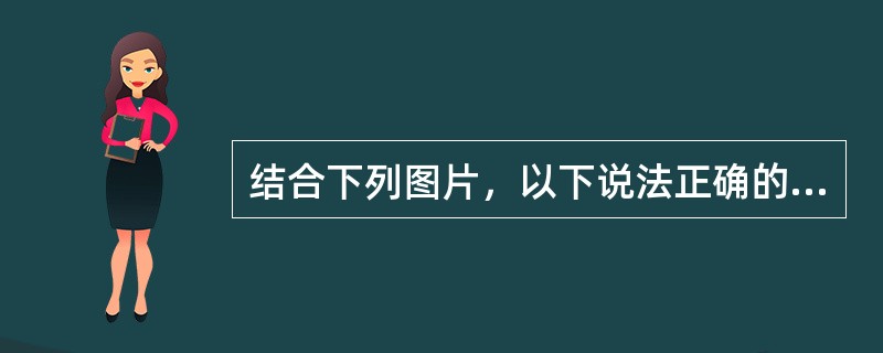 结合下列图片，以下说法正确的是()