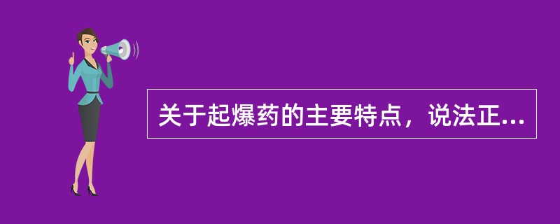 关于起爆药的主要特点，说法正确的是它()。