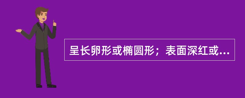 呈长卵形或椭圆形；表面深红或红黄色，有5～8条纵棱，顶端残留萼片的药材是（）