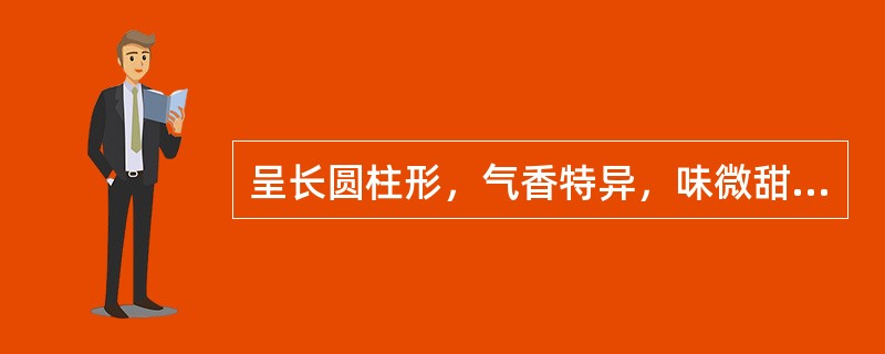 呈长圆柱形，气香特异，味微甜、辛的药材是（）