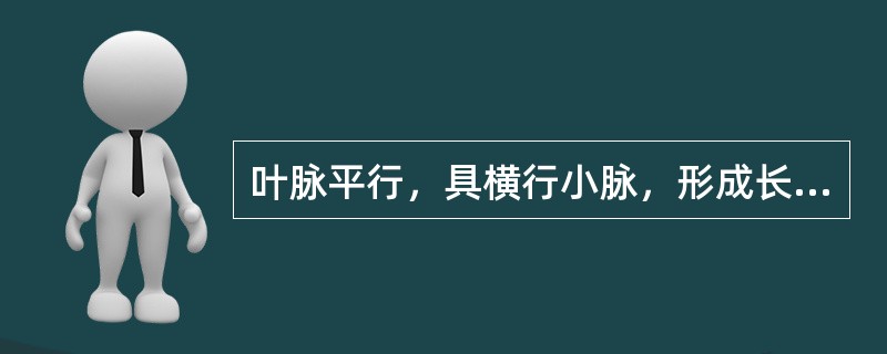 叶脉平行，具横行小脉，形成长方形的网格状，气微，味淡的药材是（）