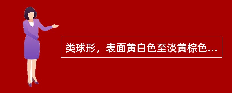 类球形，表面黄白色至淡黄棕色，有3条较深的纵向槽纹，气芳香，味辛凉，略似樟脑的药