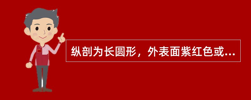 纵剖为长圆形，外表面紫红色或红棕色，有不规则的深皱纹，味酸的药材是（）