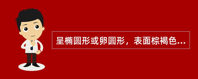 呈椭圆形或卵圆形，表面棕褐色，密生刺状突起，气芳香而浓烈，味辛凉、微苦的药材是（