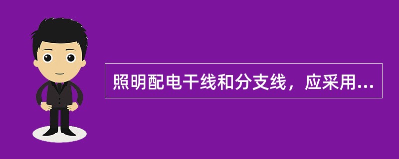 照明配电干线和分支线，应采用（）绝缘电线或电缆，分支线截面不应小于（）mm2。