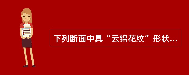 下列断面中具“云锦花纹”形状鉴别特征的生药是（）