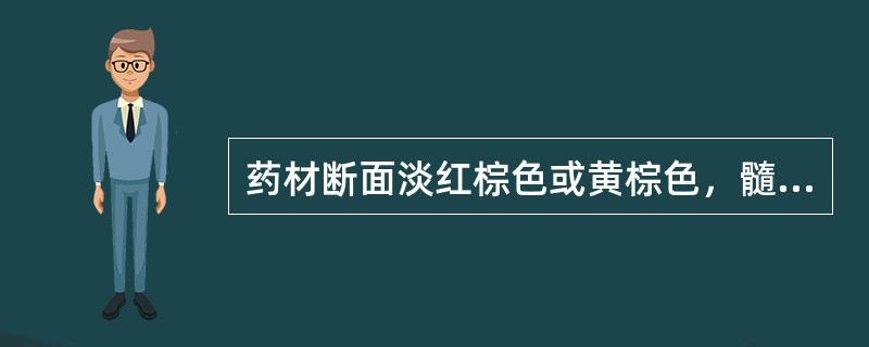 药材断面淡红棕色或黄棕色，髓部有星点。此药是（）