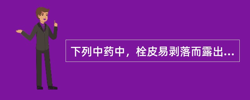 下列中药中，栓皮易剥落而露出淡黄色的皮部及纤维的药材为（）