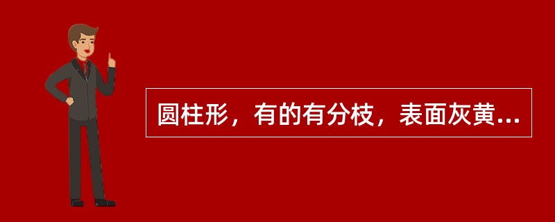 圆柱形，有的有分枝，表面灰黄色或灰褐色，质硬而韧，断面黄白色，纤维性并显粉性的药