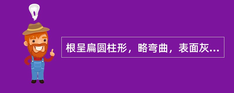 根呈扁圆柱形，略弯曲，表面灰黄色或暗灰色，有的皮部横向断离露出木部，形似连珠的是