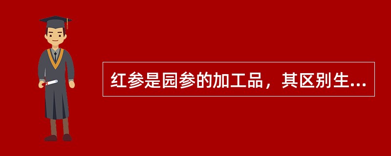 红参是园参的加工品，其区别生晒参的最主要的鉴别特征是（）