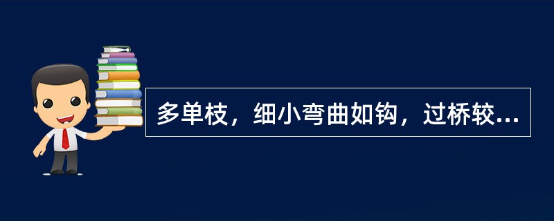 多单枝，细小弯曲如钩，过桥较短（）