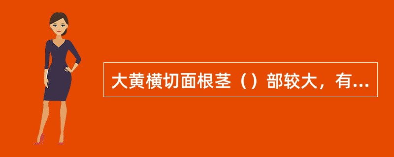 大黄横切面根茎（）部较大，有（）环列或散在。