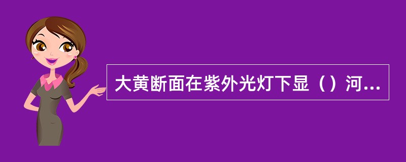 大黄断面在紫外光灯下显（）河套大黄则显（）荧光。