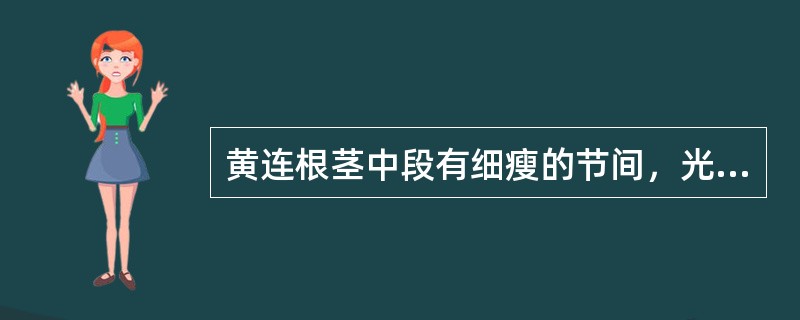 黄连根茎中段有细瘦的节间，光滑如茎杆，习称（）.