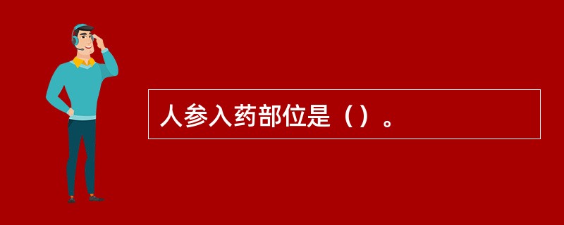 人参入药部位是（）。