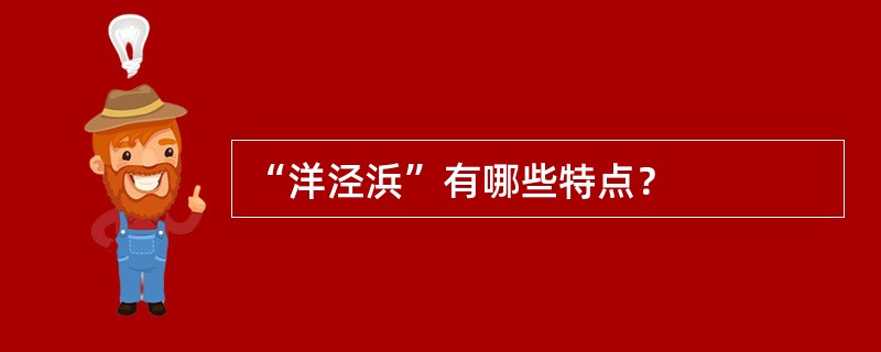 “洋泾浜”有哪些特点？