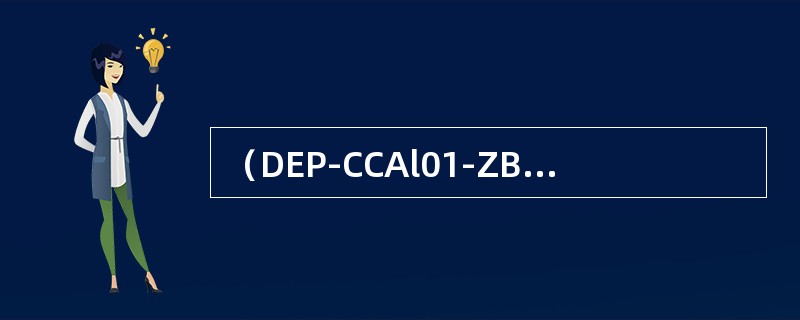 （DEP-CCAl01-ZBAA0231-VHHH）；（DEP-CCAl0l／A