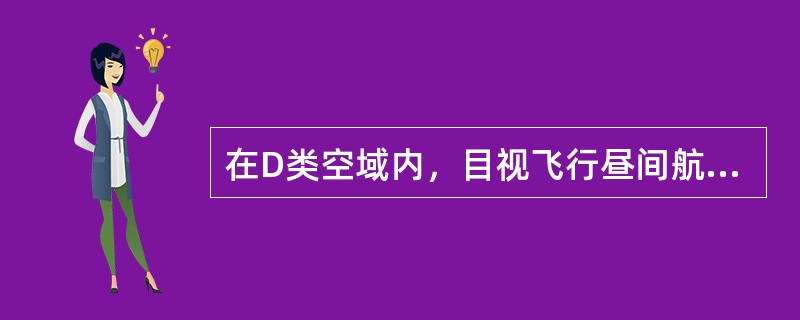 在D类空域内，目视飞行昼间航空器之间的纵向间隔，C、D类航空器不得小于（）千米。