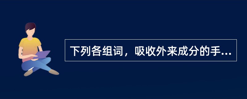 下列各组词，吸收外来成分的手段存在不一致情况的一组是（）