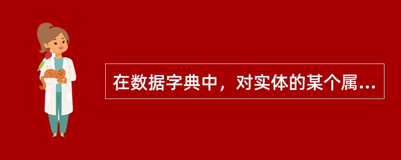 在数据字典中，对实体的某个属性的描述称为（）