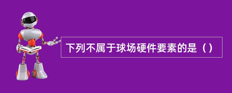 下列不属于球场硬件要素的是（）