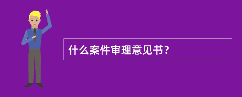 什么案件审理意见书？