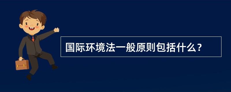 国际环境法一般原则包括什么？