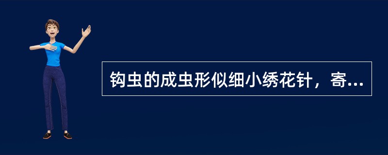 钩虫的成虫形似细小绣花针，寄生于人体的小肠及十二指肠。（）