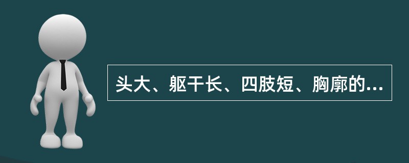 头大、躯干长、四肢短、胸廓的前后和左右径几乎相等的是()