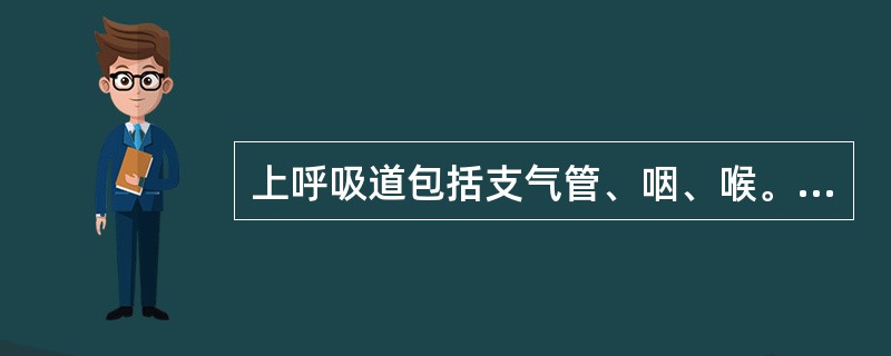 上呼吸道包括支气管、咽、喉。（）