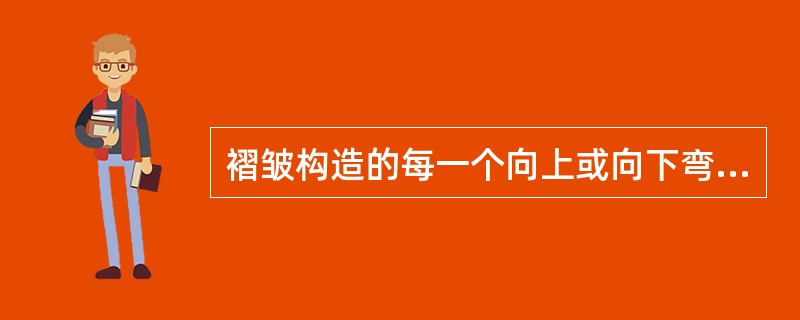 褶皱构造的每一个向上或向下弯曲称为（）