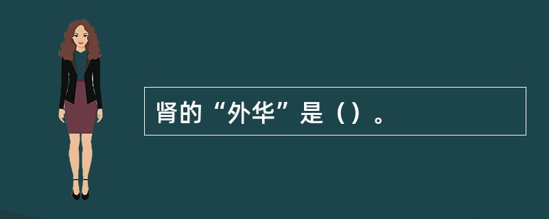 肾的“外华”是（）。