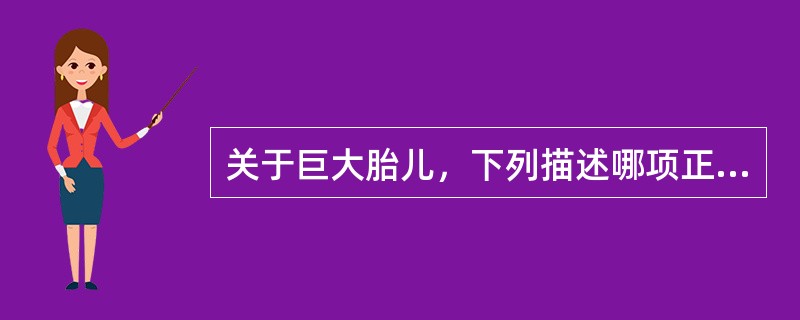 关于巨大胎儿，下列描述哪项正确（）。