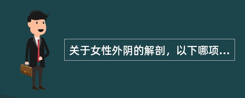 关于女性外阴的解剖，以下哪项错误（）。