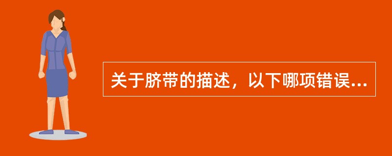 关于脐带的描述，以下哪项错误（）。
