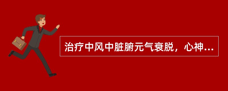 治疗中风中脏腑元气衰脱，心神散乱证。应首选（）。