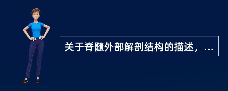 关于脊髓外部解剖结构的描述，哪些是正确的（）