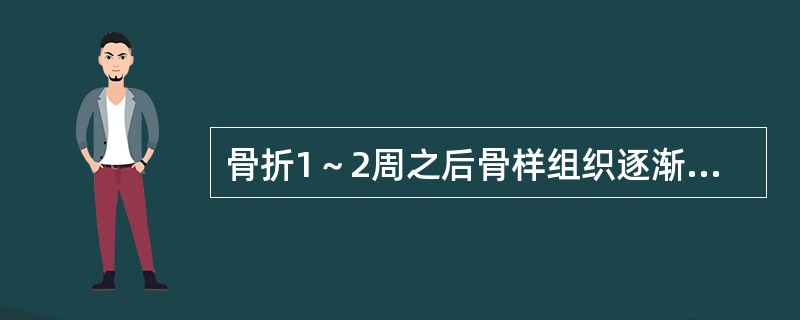 骨折1～2周之后骨样组织逐渐骨化形成骨性骨痂称为（）