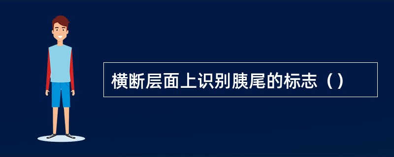 横断层面上识别胰尾的标志（）