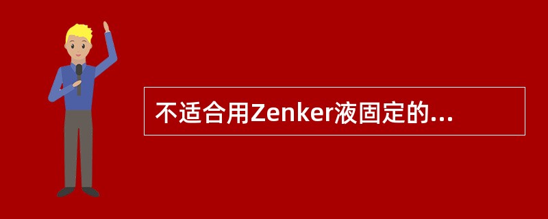 不适合用Zenker液固定的组织是（）